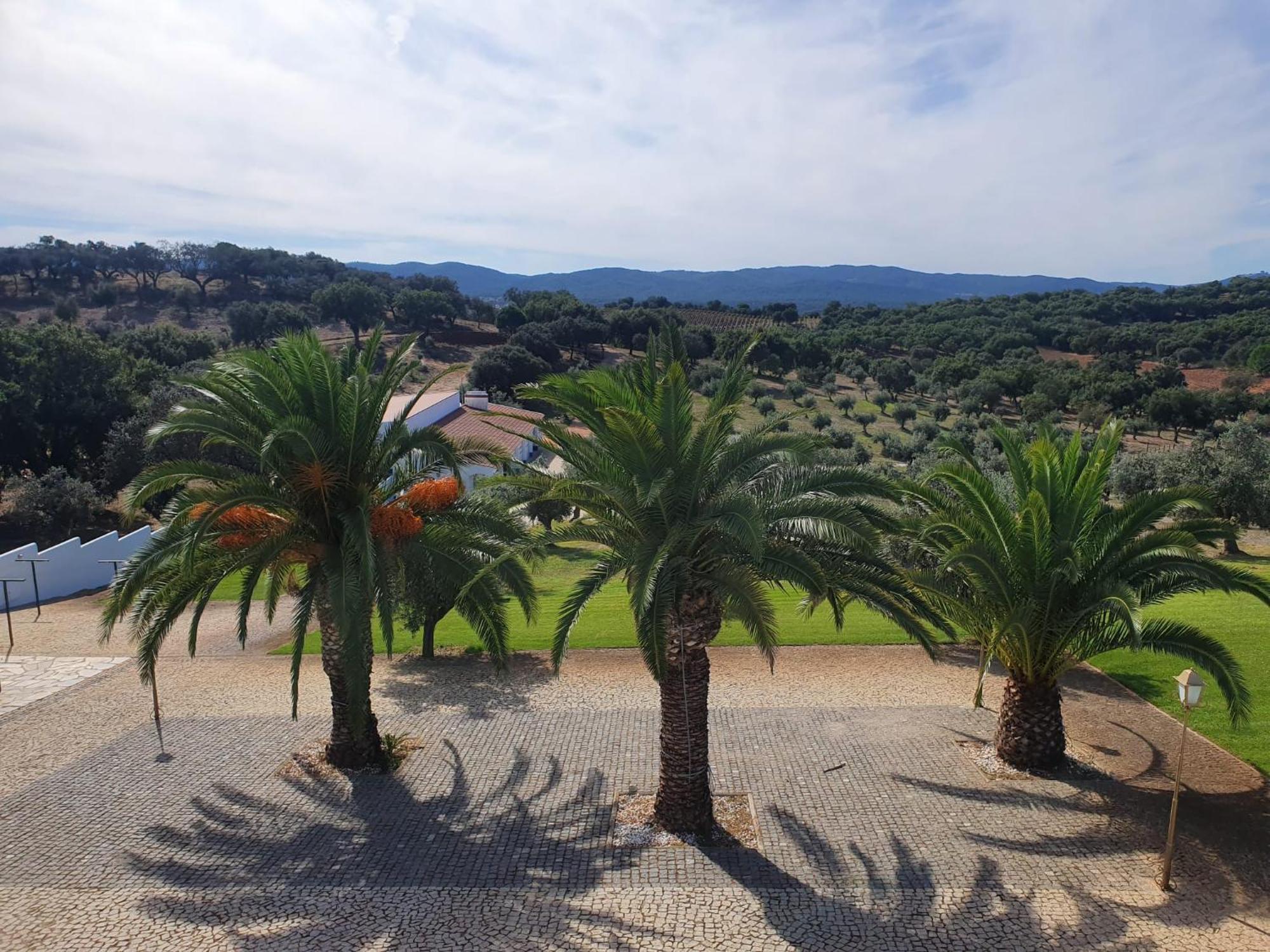 Monte Da Pechincha Bed & Breakfast Estremoz Exterior photo